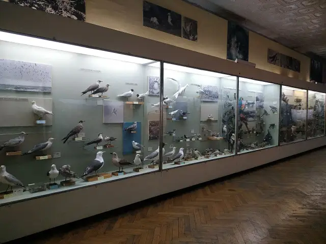 Зоологічна експозиція Національного науково-природничого музею НАН України