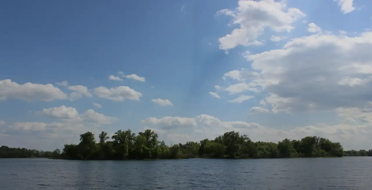 Низький деревний силует Козачого острова над широкою водою Дніпра під літнім небом.
