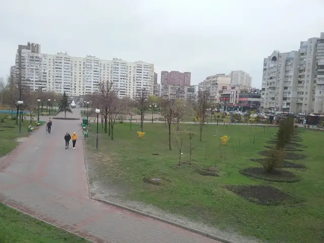 Алеї й молоді дерева парку «Позняки» на тлі багатоповерхових житлових будинків.